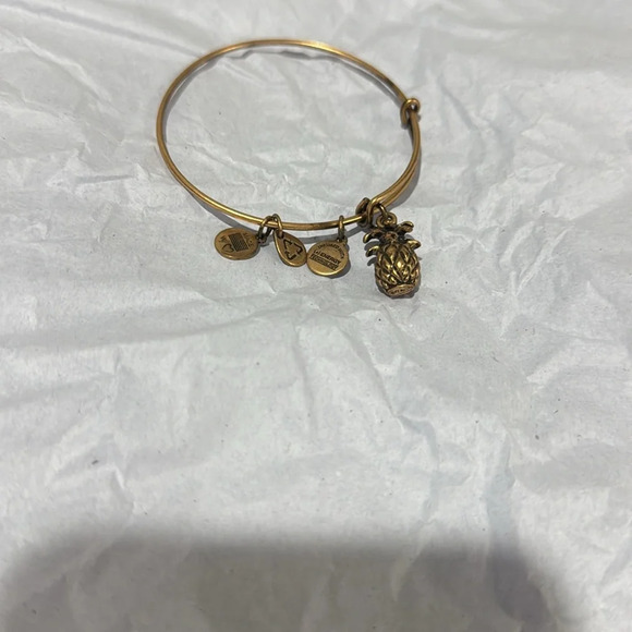 Alex and Ani Gold Tone Pineapple Energy Bangle Bracelet - Picture 2 of 3